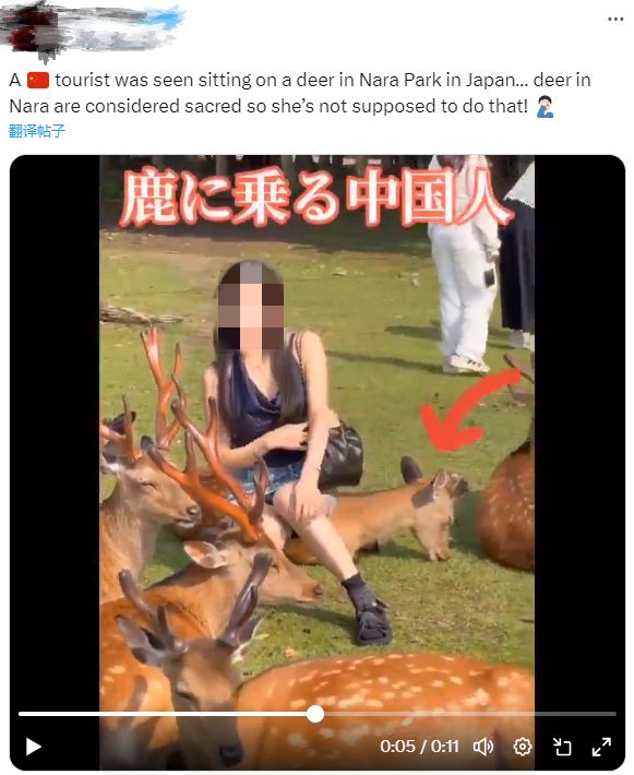 蓝网 vs 熊鹿,一场关于谁更环保的真实较量 蓝网 vs 熊鹿,一场关于谁更环保的真实较量